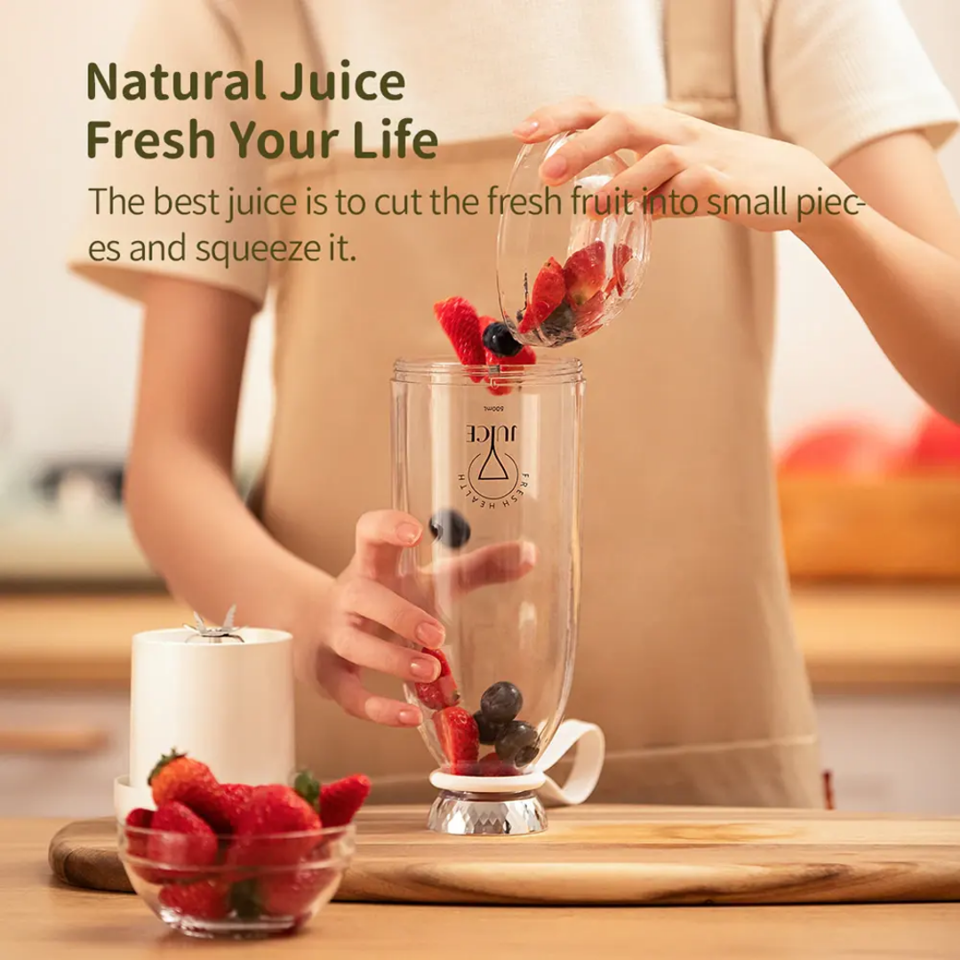 Fruit Blender 500ml - Y03